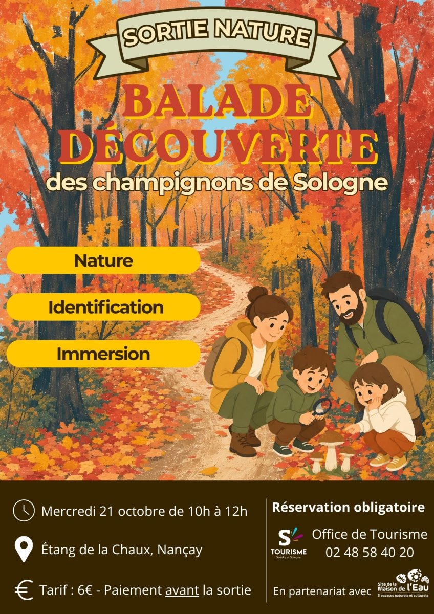 Sortie Nature : balade découverte des champignons