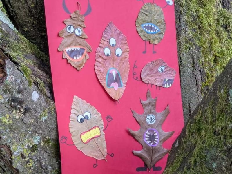 Atelier enfants (5-10 ans) - Le monstre caché sous la feuille