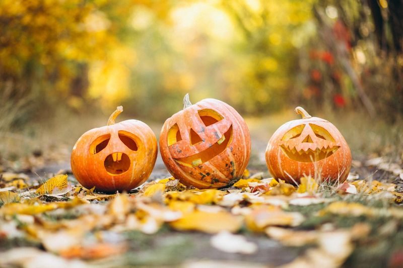Halloween à l'Aquarium du Périgord Noir