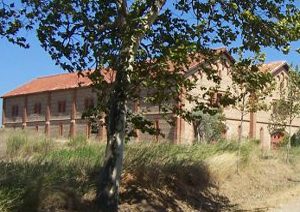 DOMAINE DU MAS AVALLRICH