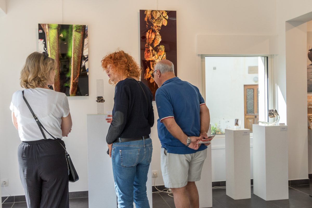Galerie Pili Tafernaberry