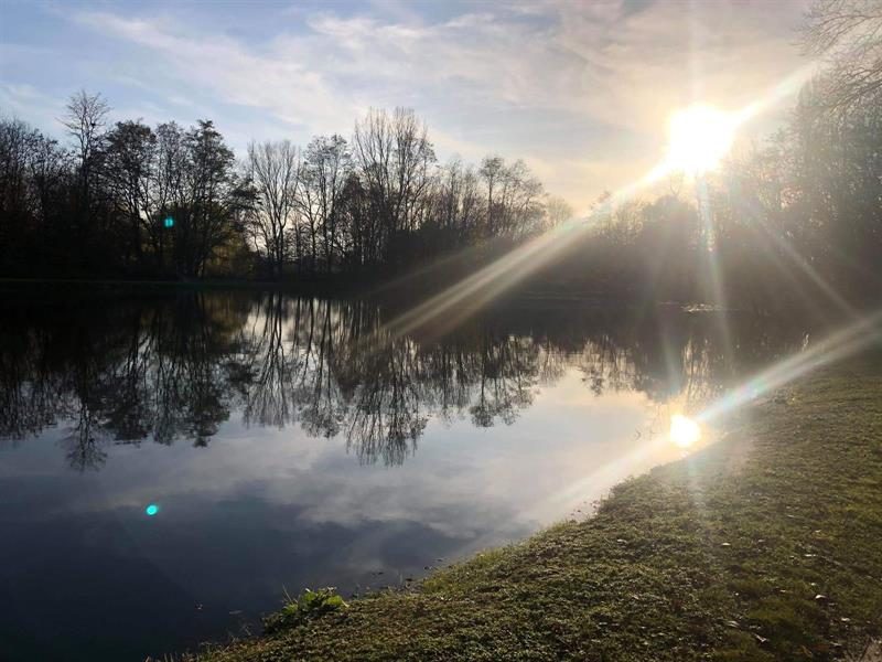 Pêche dans Les Etangs de la Thur