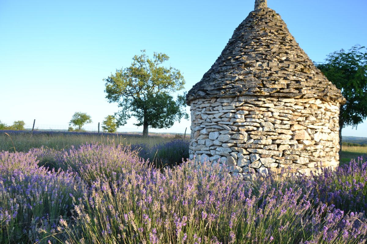 La Cigale du Causse