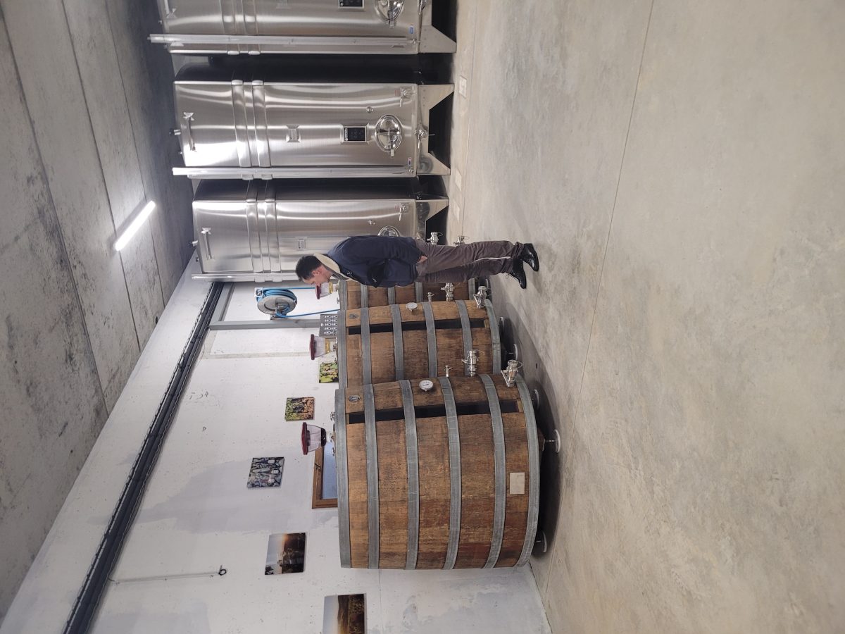 Domaine Thibault et Maxime Pasdeloup