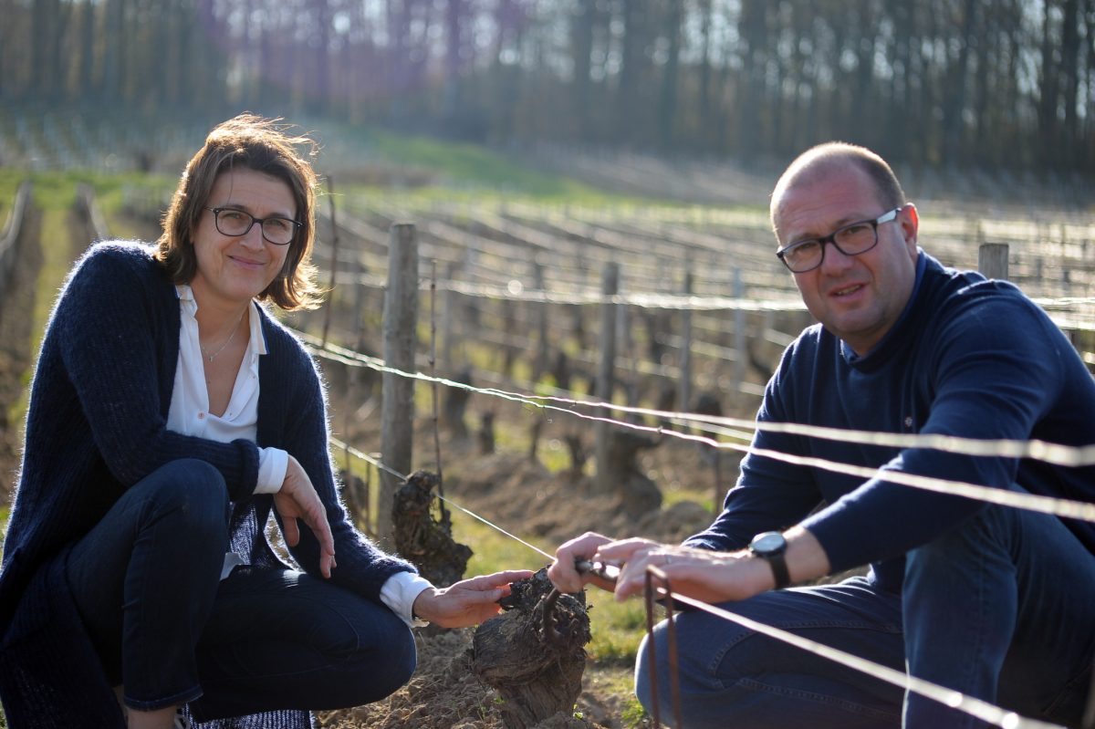 Domaine Serge Laloue