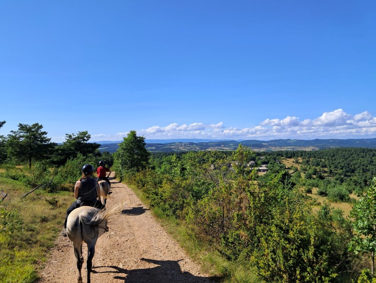 CHEVAUX AU VENT