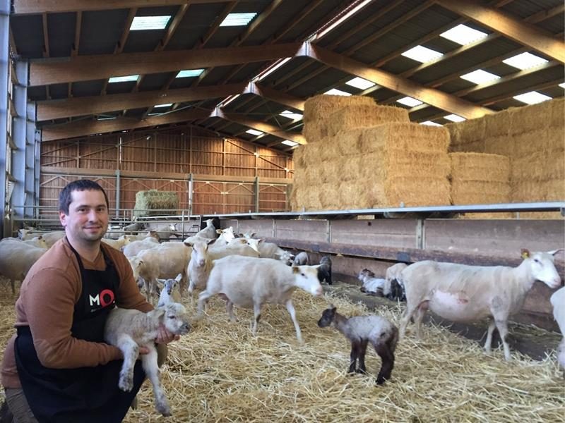 La ferme de l'étang