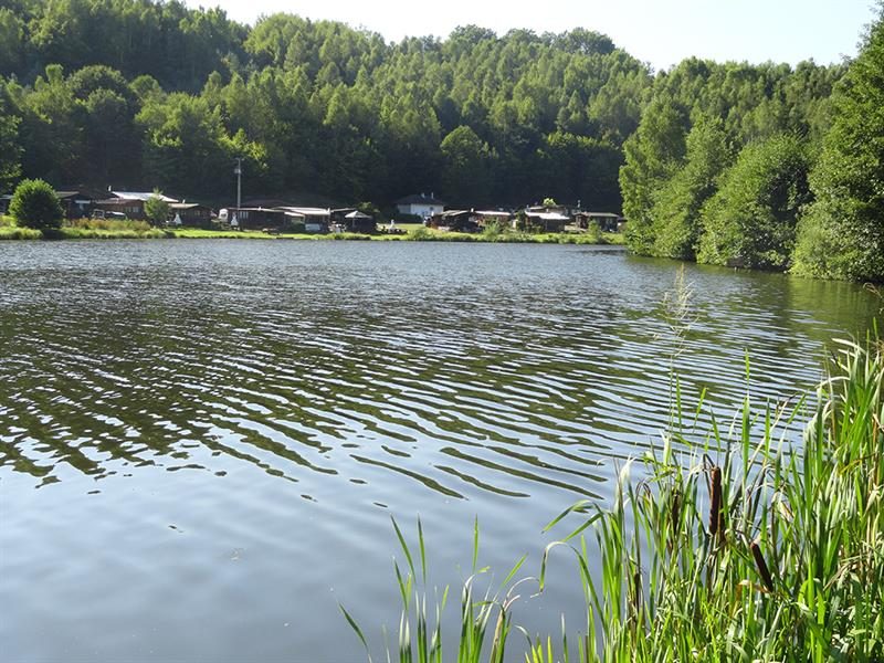 L'étang de pêche de Mouterhouse