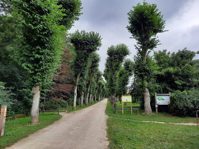 Les disparus du Parc - Parcours à pied