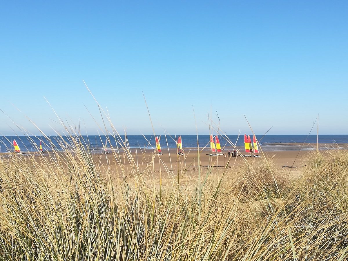 Entre mer et dunes : réveil sensoriel et écologique