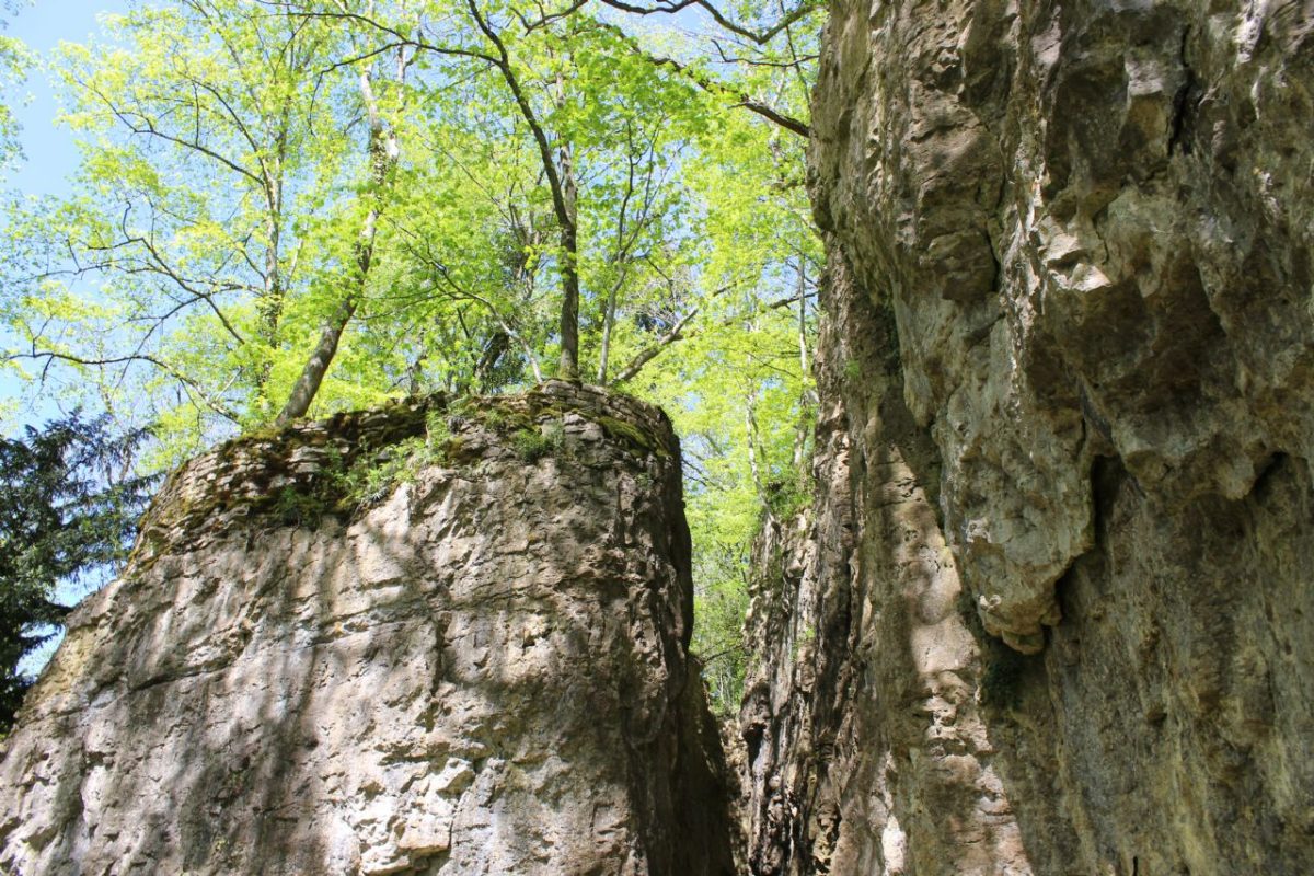 Escalade à la falaise du Côna