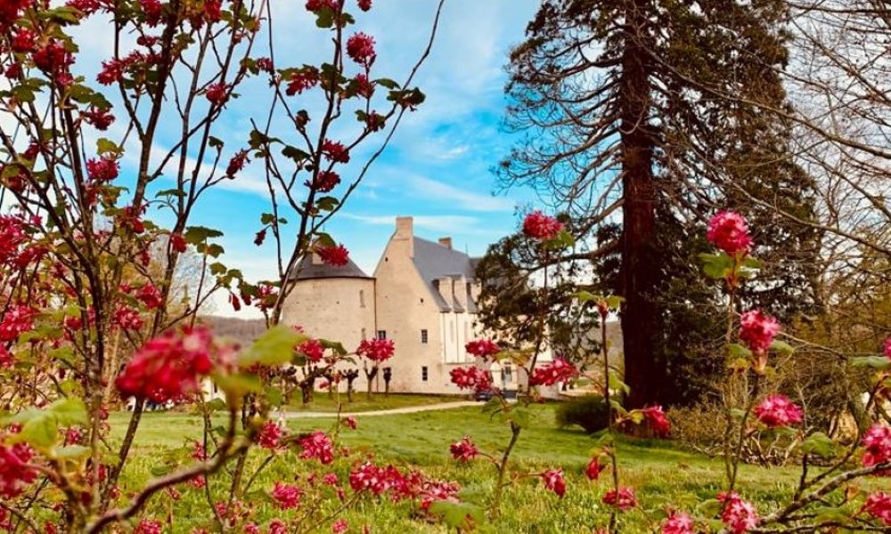 Château du Chambon