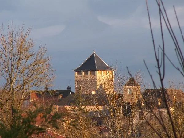 Galerie d'art - La Tour de Montsalès