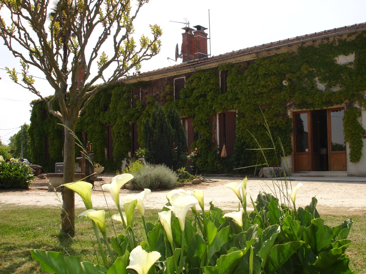 Château Gadet Terrefort – élevage