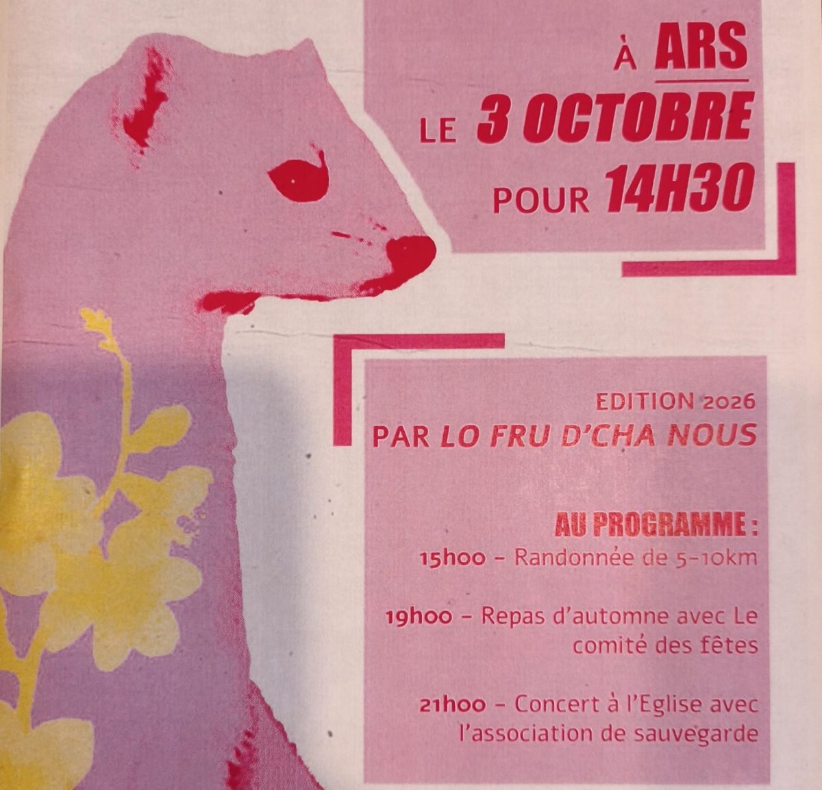 Randonnée participative