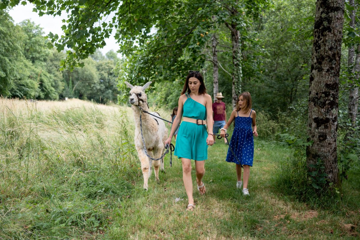 Lama Rando de Jazeneuil