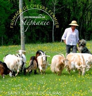 Les chèvres de Stéphanie