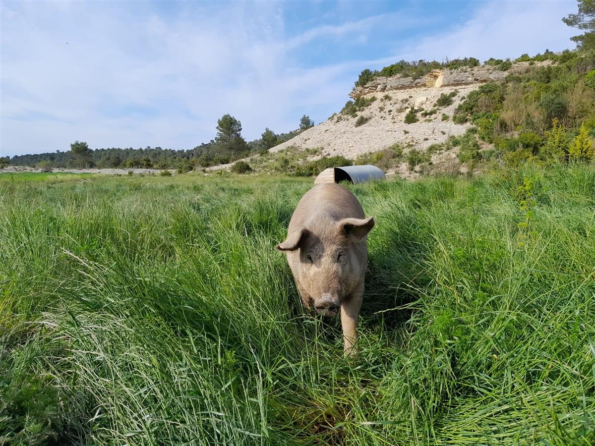La Ferme de Fontanille
