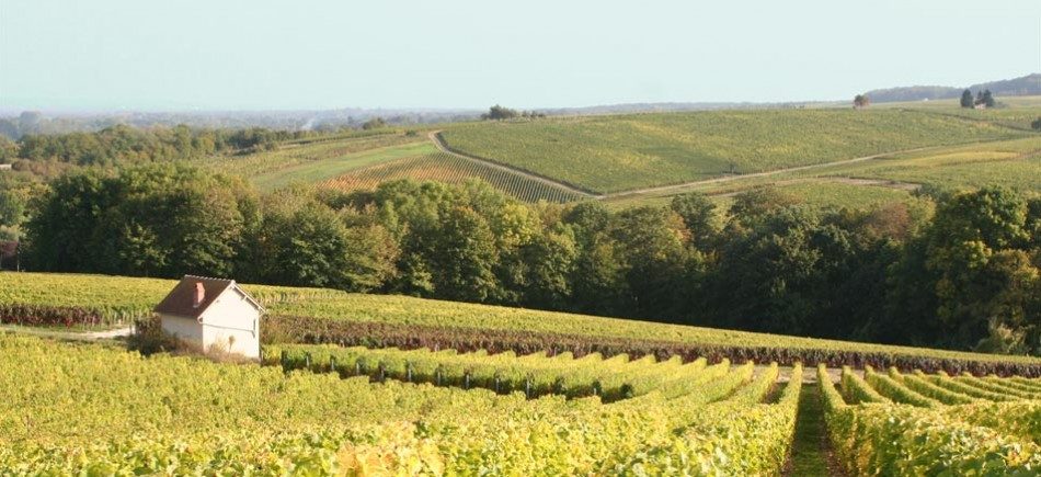 Domaine André Neveu