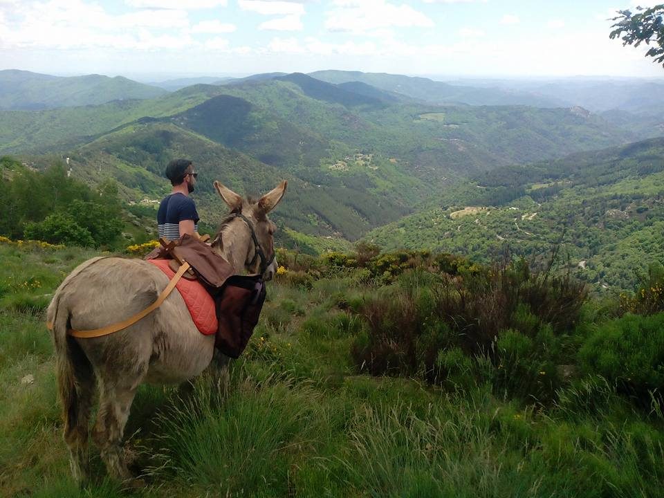 CÉVENNES G'RANDOS D'ÂNES
