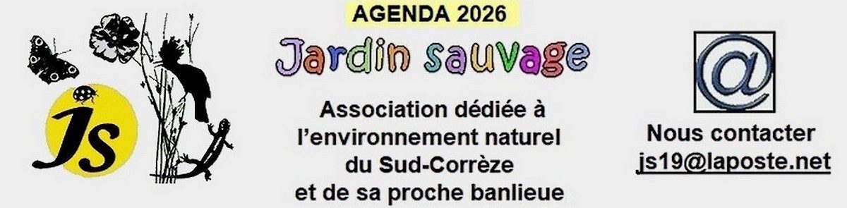 Ateliers adulte et enfant Jardins sauvage (Parc des Perrières)