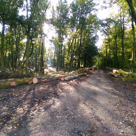 Rando à Thise : Sentes des Vaux et de la Vaivre