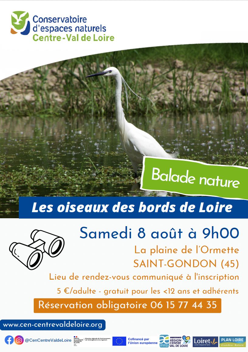 Balade nature : Les oiseaux des bords de Loire