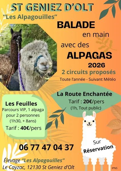 Les Alpagouilles - élevage d'alpagas (groupes)