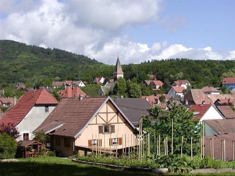 Leimbach