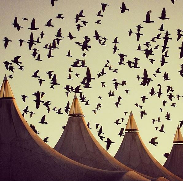 Boulodrome