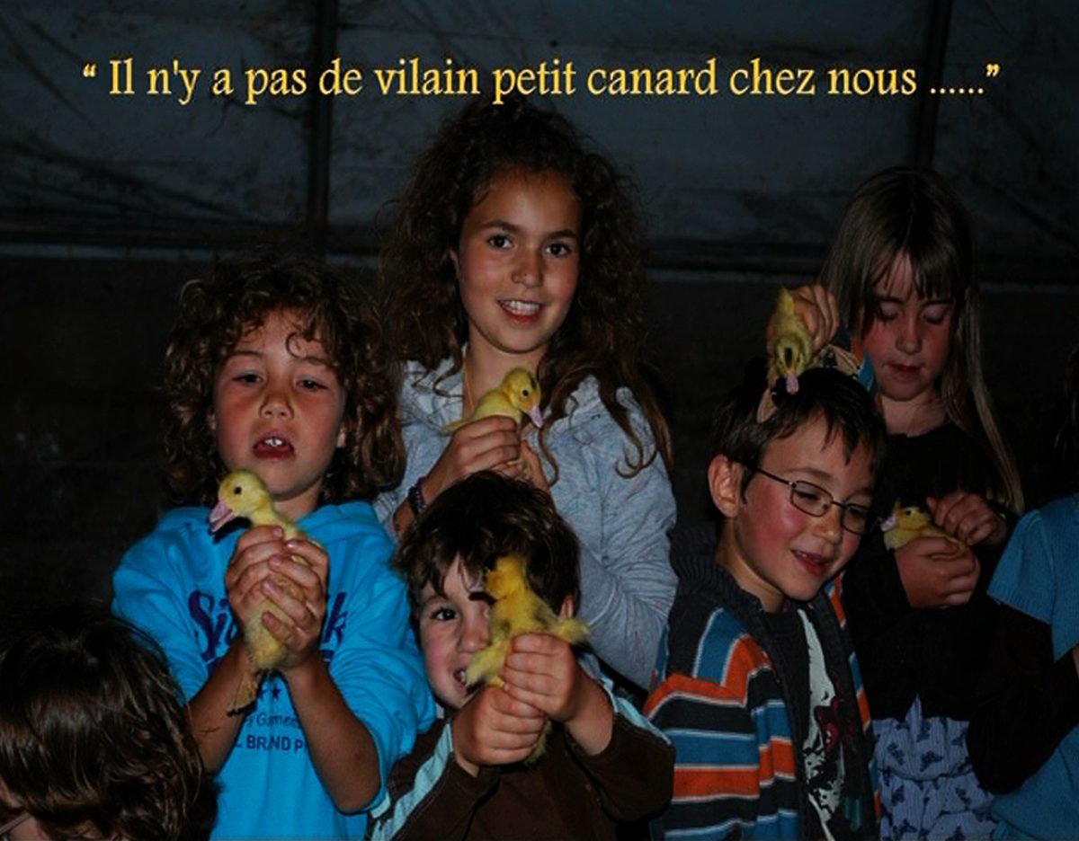 Ferme des Cazalous