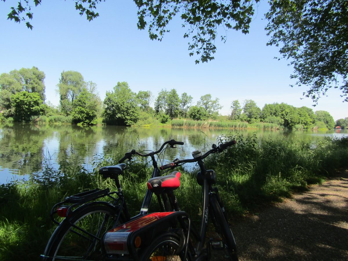 Location de vélo - camping Longue Rive