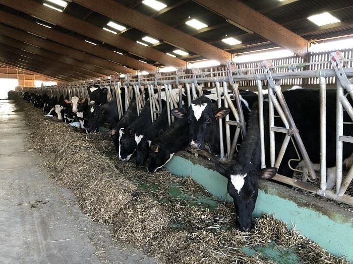 Ferme pédagogique : GAEC des 4 Ponts