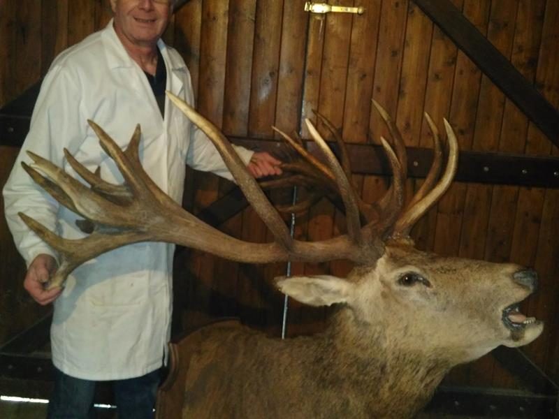 Bernard Pethe taxidermiste