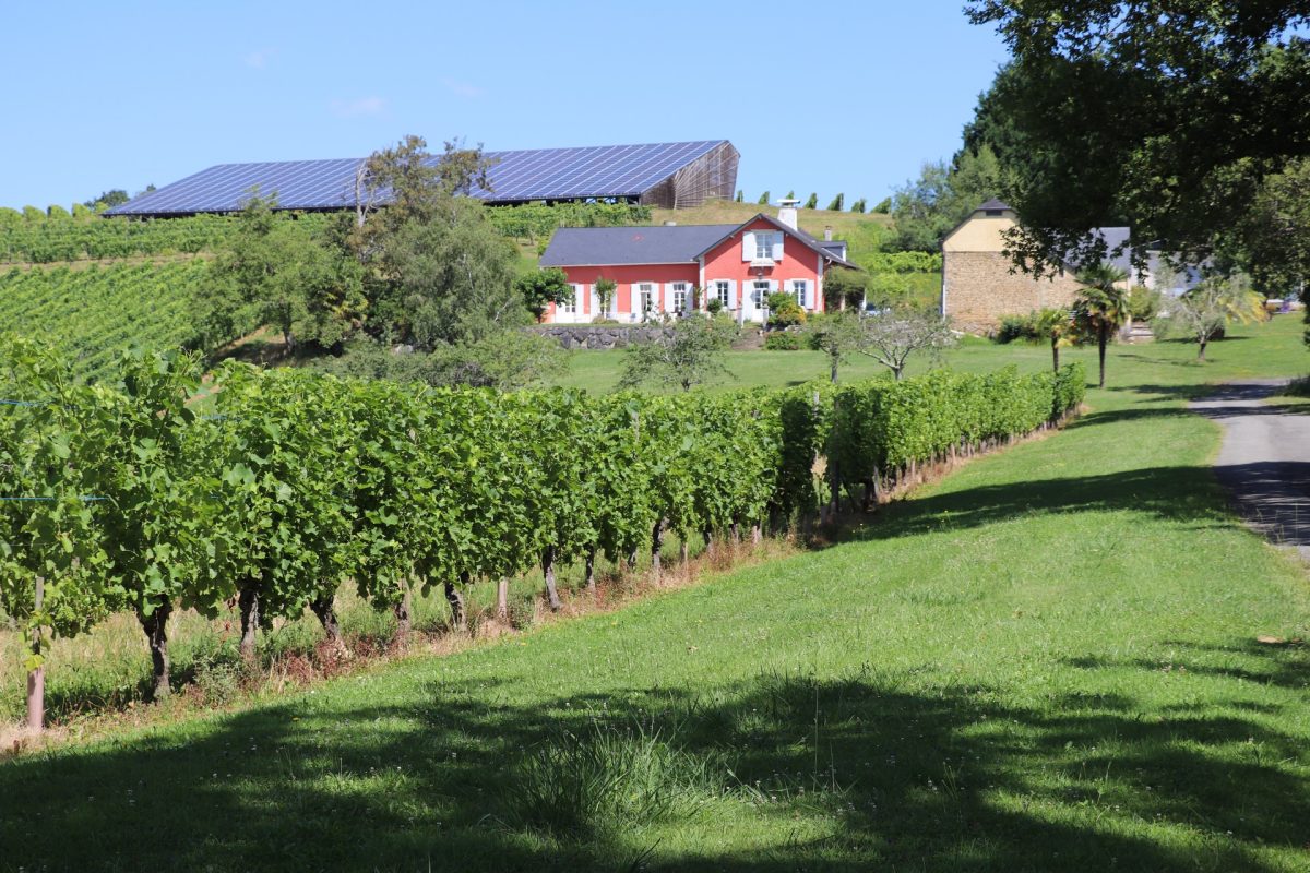 Domaine Bellegarde