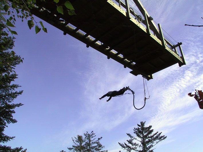 Aventure Parc