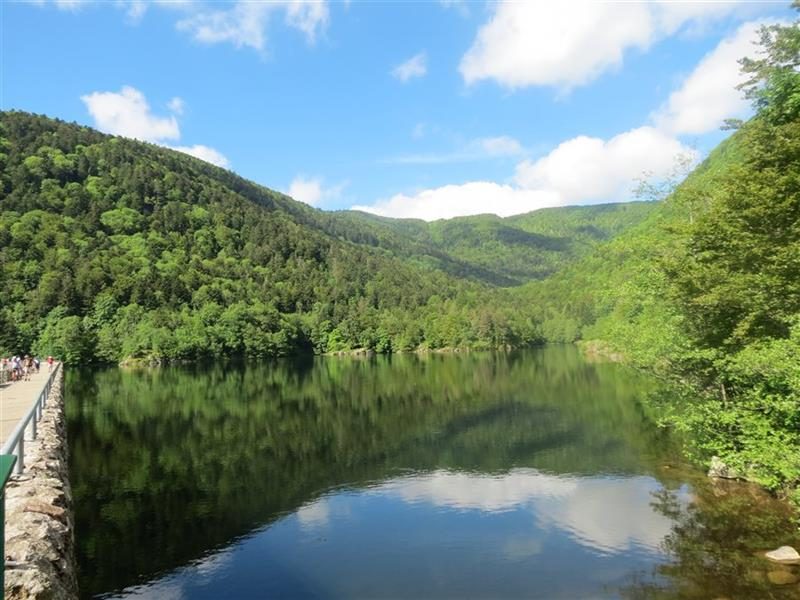 Pêche au lac d'Alfeld