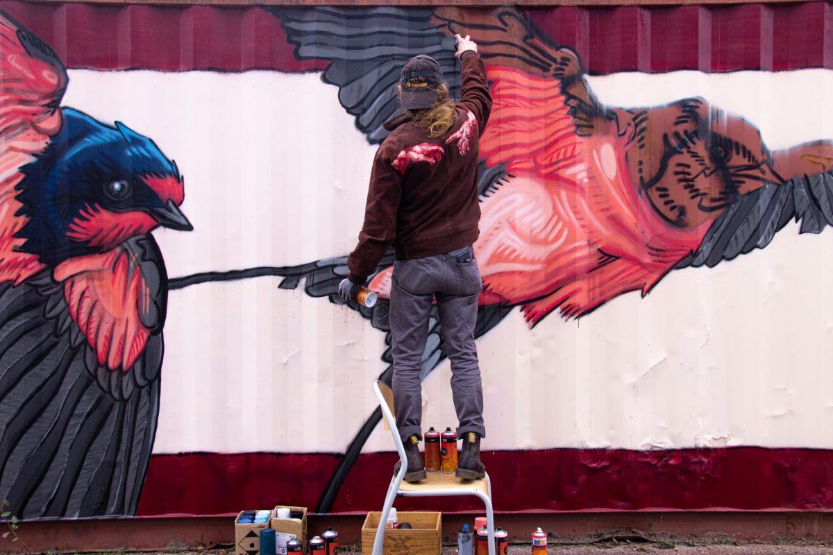 Exposition de graffittis