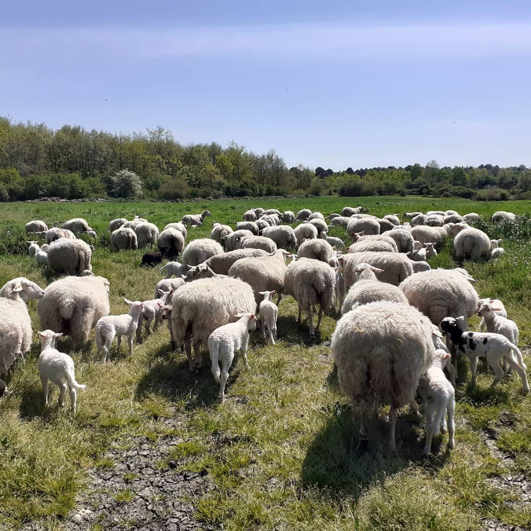 Au Paradis de Senillé