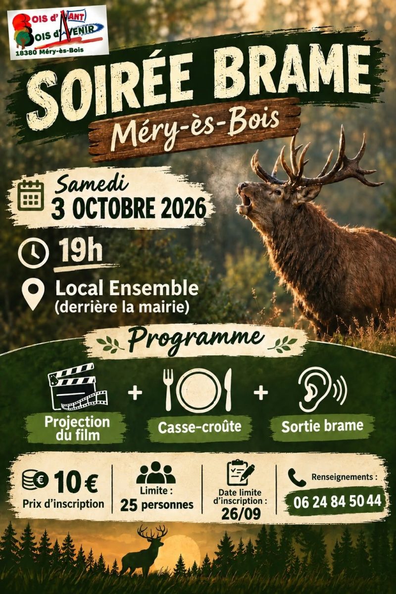 Soirée brame
