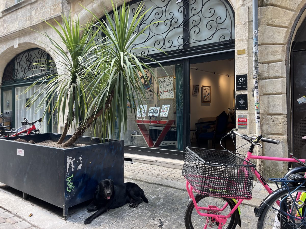 Galerie SP Pour toi