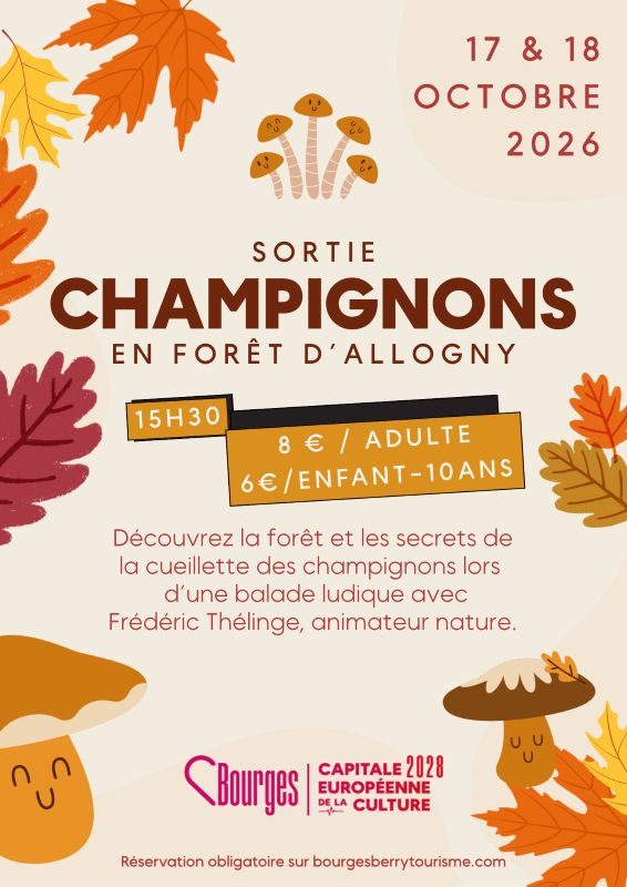 Sortie champignons - Balade ludique en forêt d'Allogny