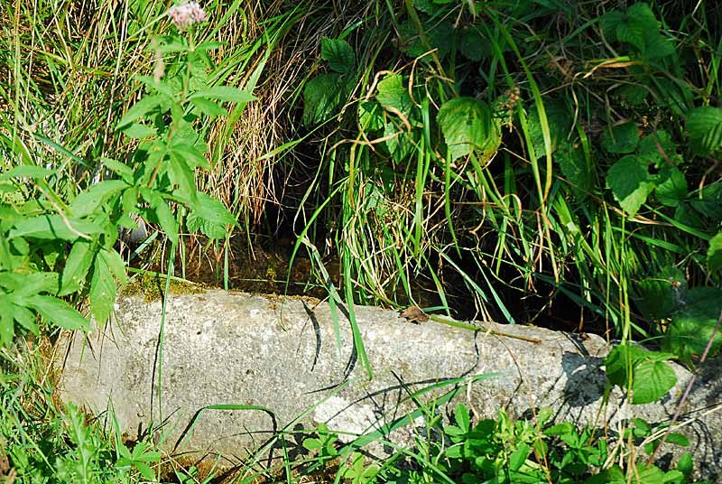 Auges d'eau vives à Lamargelle-aux-Bois