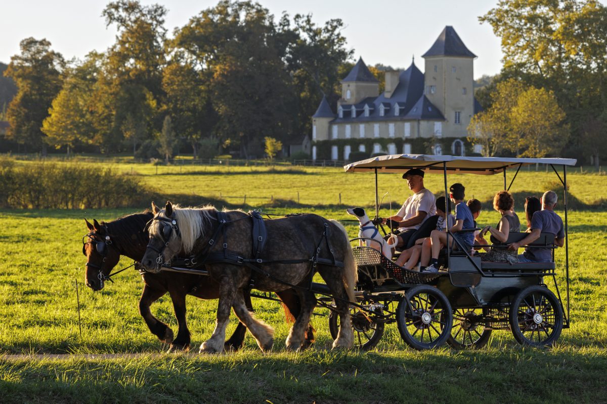 Journée à la ferme, à la Ferme au Bèth Loc