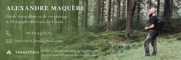 Fête des saisons autrement 1/8 ; Samhain