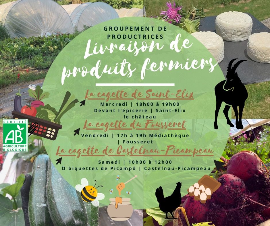 Ô BIQUETTES DE PICAMPÔ