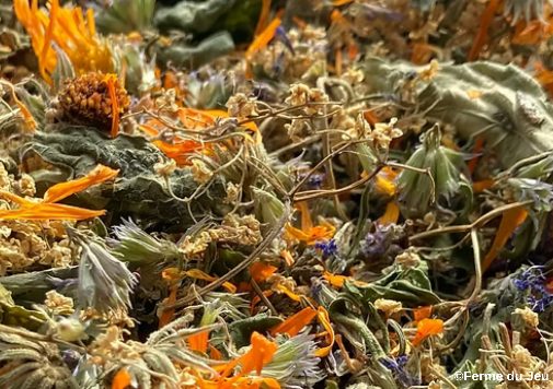 Plantes et savoir-faire à la Ferme de Jeu à Plaisance