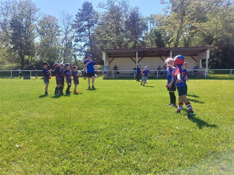 Stade de l'Ill - Rugby