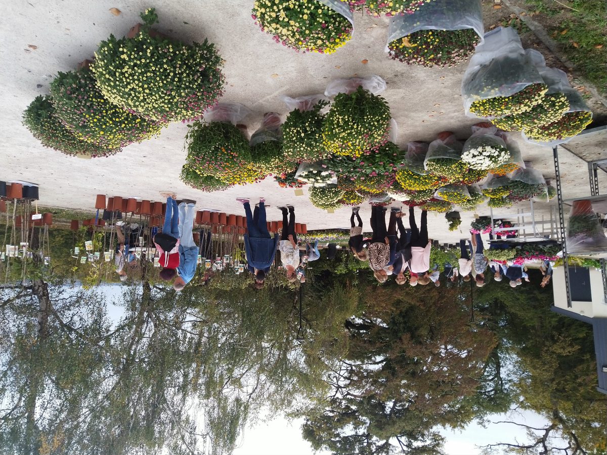 Fête horticole