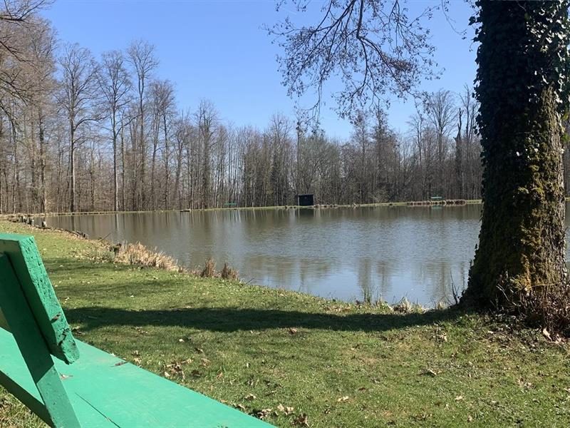 Etang Erlen